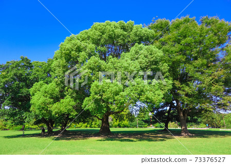 Shonai Ryokuchi Park, full of spacious greenery <Nagoya City, Aichi Prefecture> 73376527