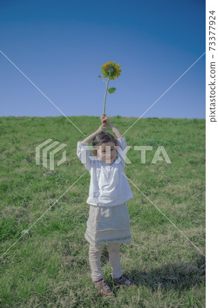 使用用向日葵的女孩 73377924