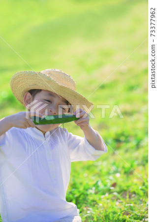 Girl chewing cucumber 73377962