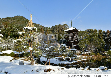 Rurikoji五層寶塔Snowscape Rurikoji五層寶塔Snowscape 73381943