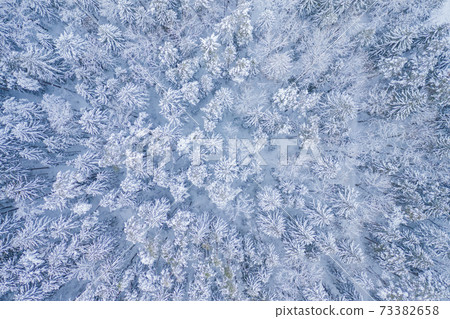 White background texture of a frozen forest at winter, top earial view 73382658