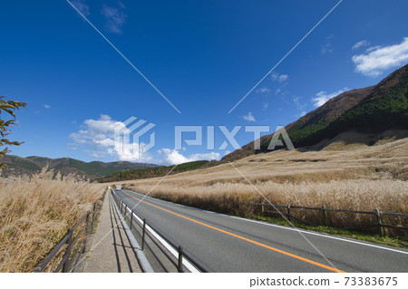 [Ashigarashimo-gun, Kanagawa Prefecture] Hakone Sengokuhara Susukino Meadow 73383675