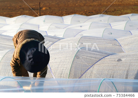 Scenery of vinyl tunnel work Scenery of vinyl tunnel work 73384466