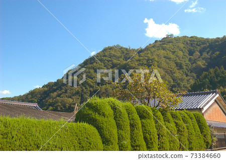 Rijin Castle seen from the town of Hirafuku, Sayo-cho, Sayo-gun, Hyogo Prefecture 73384660