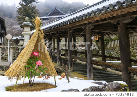 初冬長谷寺:冷牡丹和白雪皚皚的花朵 初冬長谷寺:冷牡丹和白雪皚皚的花朵 73384918
