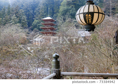 Hasedera in the middle of winter Cold peony and snow flower Hasedera in the middle of winter Cold peony and snow flower 73384942