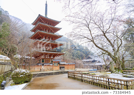 初冬長谷寺：冷牡丹和白雪皚皚的花朵 73384945