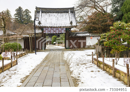 Hasedera in the middle of winter Cold peony and snow flower 73384951