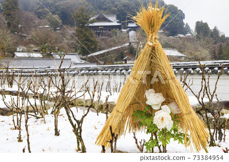初冬長谷寺：冷牡丹和白雪皚皚的花朵 73384954