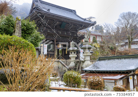 初冬長谷寺：冷牡丹和白雪皚皚的花朵 73384957