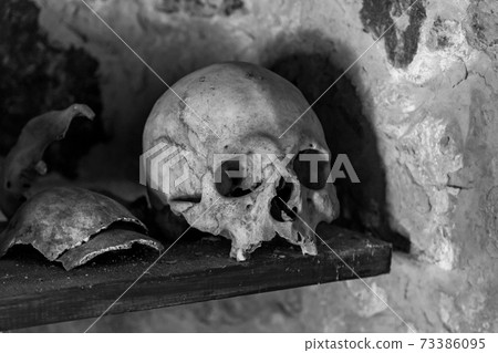 Human skulls in the crypt 73386095