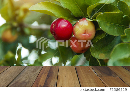 Wooden table on Acerola cherry and leaves background. Mock up for your product display or montage Wooden table on Acerola cherry and leaves background. Mock up for your product display or montage 73386329