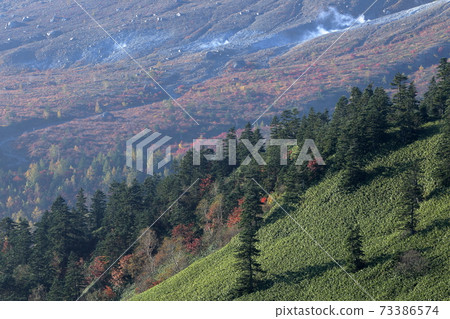 Mt. Shirane (Autumn Gunma Prefecture Shibu-toge) 73386574
