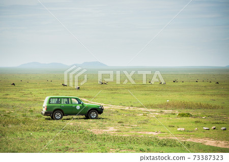 Africa Safari Tour Car Africa Safari Tour Car 73387323