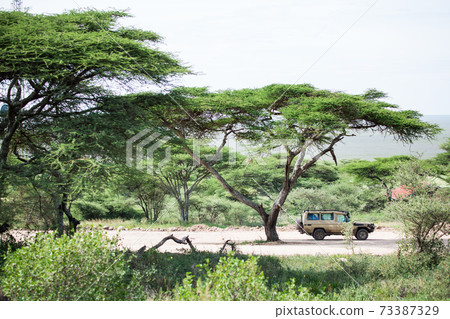 Africa safari landscape 73387329