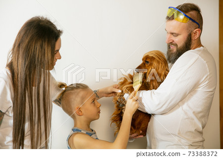 Young family doing apartment repair together themselves. Mother, father and son doing home makeover or renovation Young family doing apartment repair together themselves. Mother, father and son doing home makeover or renovation 73388372