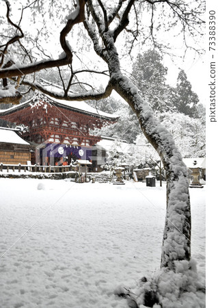 下雪了，Tanyu Tobisu神社的塔門 73388390