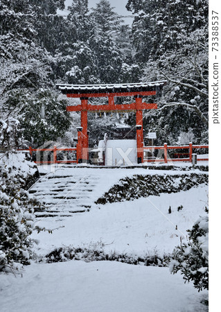 Tanyu Tobisu神社鳥居的雪景 73388537