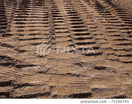 Caterpillar footsteps 73388743