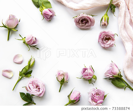 Framework from roses on white background. Framework from roses on white background. 73388874