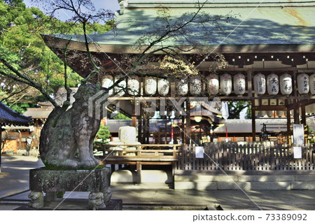 Imamiya Shrine Kyoto 73389092