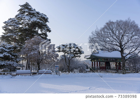 Hwarang Amusement Park, Ansan City, Gyeonggi-do 73389398