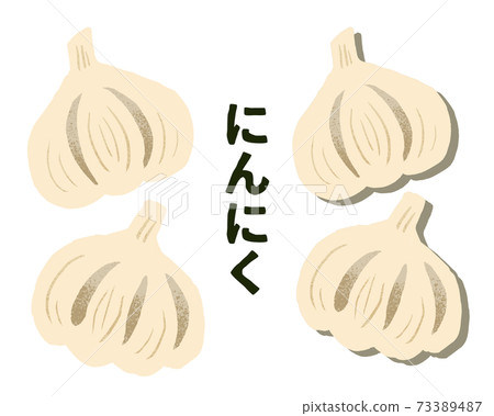 Simple vector garlic illustration (with shadow) Simple vector garlic illustration (with shadow) 73389487