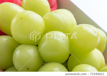 麝香葡萄 岡山 Shine Muscat grape シャインマスカット 岡山 73389821
