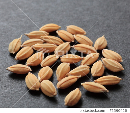 Rice seed fir 73390426