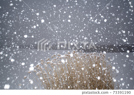 Hwarang遊樂園，安山市，京畿道 73391190