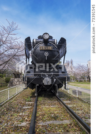 機車和櫻花春天后樂公園三重縣觀光景點三重縣櫻花觀光景點 機車和櫻花春天后樂公園三重縣觀光景點三重縣櫻花觀光景點 73391545