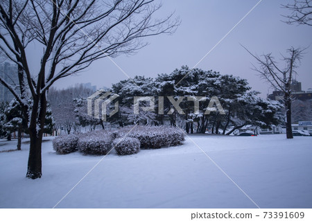 Hwarang遊樂園,安山市,京畿道 Hwarang遊樂園,安山市,京畿道 73391609