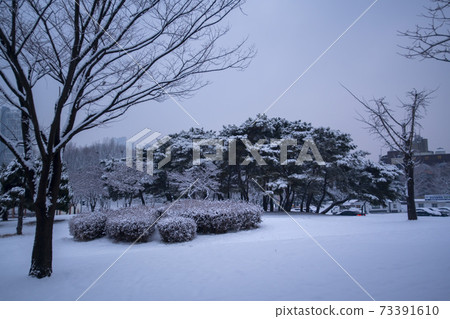 Hwarang遊樂園,安山市,京畿道 Hwarang遊樂園,安山市,京畿道 73391610