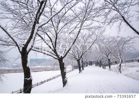 Hwarang Amusement Park, Ansan City, Gyeonggi-do 73391657