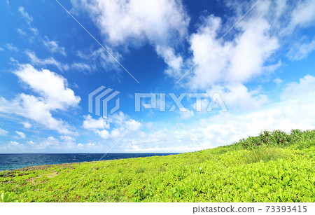 廣闊的草地,天空和海洋自然圖像 廣闊的草地,天空和海洋自然圖像 73393415