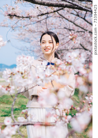 Cherry blossoms and college girls Cherry blossoms and college girls 73394425