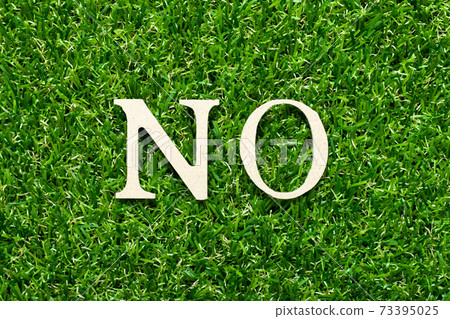 Wood alphabet letter in word no on green grass background 73395025