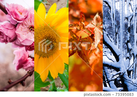 Spring summer autumn winter collage background image 73395083