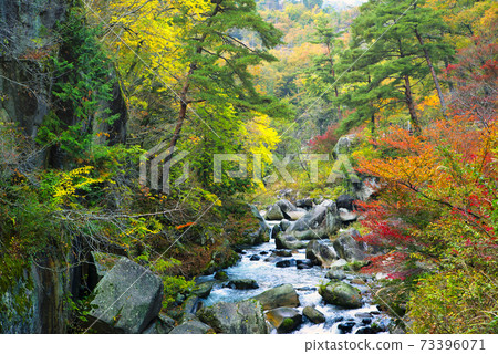 Yamanashi Prefecture Autumn leaves Shosenkyo 73396071