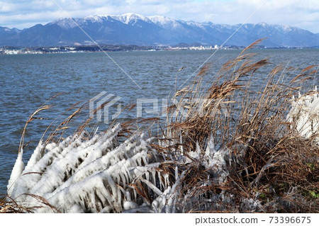 Spray ice of Lake Biwa 73396675