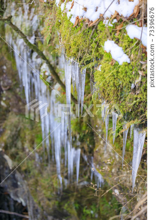 Mitarai Valley snow scene 73396676