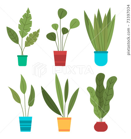 Decorative set green plant with long leaves in ceramic pot, pot with houseplant. Home interior plant 73397034