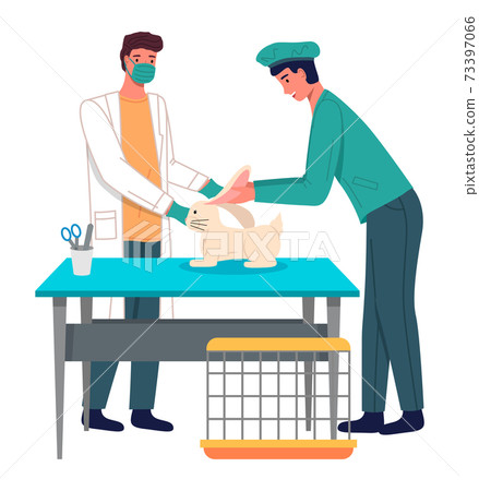 Veterinary care flat illustration. Veterinarian doctors treat rabbit ears in the medical office Veterinary care flat illustration. Veterinarian doctors treat rabbit ears in the medical office 73397066