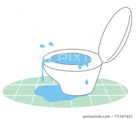 Toilet leak, that is 73397491