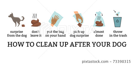 Dog poo clean up steps infographic set. Vector poster about hygiene animal, toilet cleaning information after your dog step by step. Picking waste in canine bag and throw in the trash Dog poo clean up steps infographic set. Vector poster about hygiene animal, toilet cleaning information after your dog step by step. Picking waste in canine bag and throw in the trash 73398315