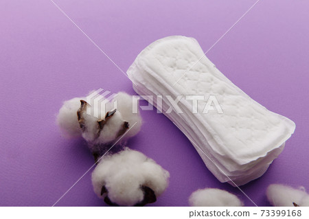 Daily sanitary pads and branch of cotton. Hygiene protection for woman critical days 73399168