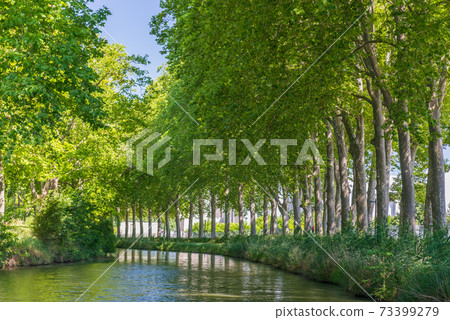 Summer look on Canal du Midi canal in Toulouse, southern Franc 73399279