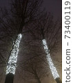 Two trees decorated for the new year in a white garland 73400119