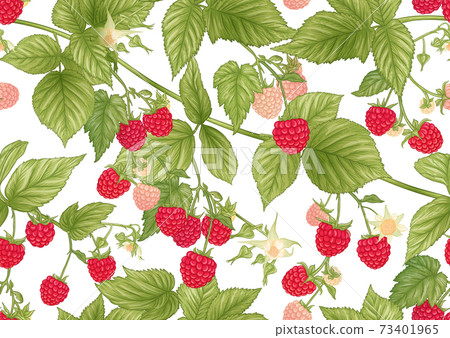 Raspberry. Ripe berries on branch. Seamless pattern, background. 73401965