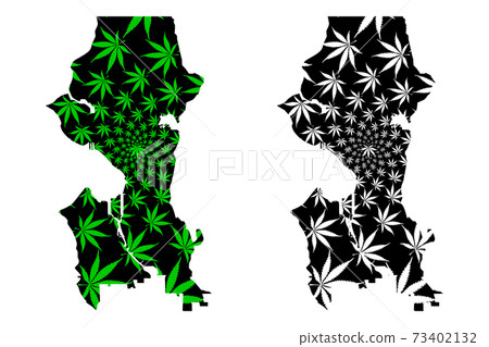 Seattle city - map is designed cannabis leaf Seattle city - map is designed cannabis leaf 73402132